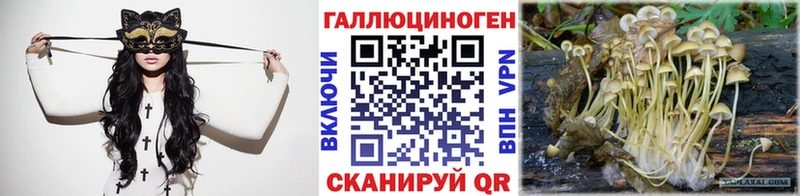 Галлюциногенные грибы ЛСД  OMG как зайти  Северобайкальск  купить наркотик 